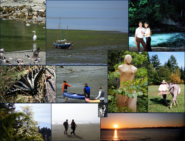 Collage of pictures of interest